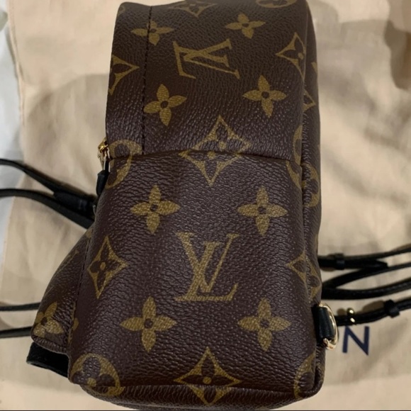 Louis Vuitton Palm Springs mini - Picture 10 of 14